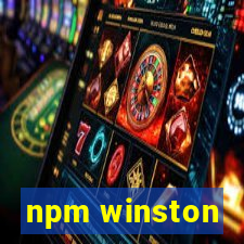 npm winston